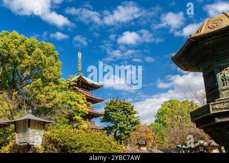 Tosho-gu-Schrein und fünfstöckige Pagode von Kan’ei-JI im Tokyo Ueno Park Stockfoto