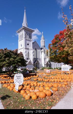 Ein Kürbisfleck mit Dutzenden Kürbissen vor der United Methodist Church of Mount Kisco. In Westchester, NY, Oktober 2024. Stockfoto