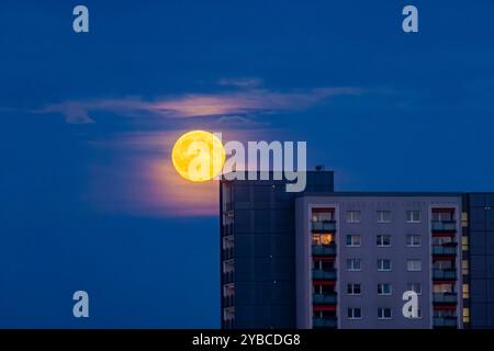 Vollmond über Dresden Aufgehender Vollmond über 17 Geschosser Plattenbauten in Dresden Johannstadt. Dresden Sachsen Deutschland *** Vollmond über Dresden aufsteigender Vollmond über 17-stöckigen Fertigbauten in Dresden Johannstadt Dresden Sachsen Deutschland Stockfoto