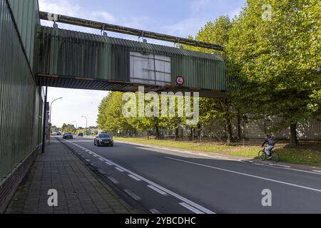 Lievegem, Belgien. Oktober 2024. Das Hauptquartier der Food Company What's Cooking wurde am Freitag, den 18. Oktober 2024 in Lievegem gezeigt. What's Cooking hat heute Morgen den Verkauf seiner Charcuterie-Abteilung für 100 Millionen Euro angekündigt. BELGA FOTO NICOLAS MAETERLINCK Credit: Belga News Agency/Alamy Live News Stockfoto