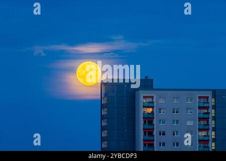 Vollmond über Dresden Aufgehender Vollmond über 17 Geschosser Plattenbauten in Dresden Johannstadt. Dresden Sachsen Deutschland *** Vollmond über Dresden aufsteigender Vollmond über 17-stöckigen Fertigbauten in Dresden Johannstadt Dresden Sachsen Deutschland Stockfoto