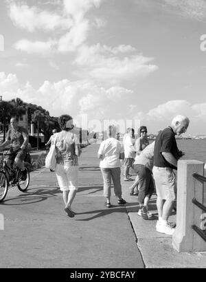 Eine Gruppe von Touristen, die sich auf dem Battery entspannen, einem historischen Wahrzeichen und beliebten Sightseeing-Ort in Charleston, South Carolina. USA Stockfoto