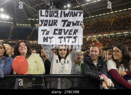 One Direction Konzert im Millenium Stadium in Cardiff, England 5. Juni 2015: Fans Stockfoto