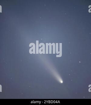 Wimbledon, London, Großbritannien. Oktober 2024. Der Komet C/2023 A3 Tsuchinshan-ATLAS mit einer 80.000-jährigen Umlaufbahn ist von London aus sichtbar, mit einem langen Schwanz und einem schwachen, vom Kern nach unten gerichteten Schweif. Der Komet war zuletzt zur Zeit des Neandertalers von der Erde aus sichtbar. Kredit: Malcolm Park/Alamy Stockfoto