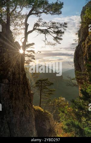 Die berühmte Ruine Gilgenberg in Zullwil SO, Schweiz. Vom Portiflue aus gesehen. Stockfoto