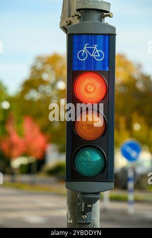 Eine Ampel für Fahrräder zeigt ein rotes Signal an, das anzeigt, dass Radfahrer anhalten müssen. Die Umgebung bietet farbenfrohe Herbstbäume und ein klares blaues s Stockfoto