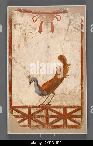 Mauerfragment mit einem Pfau, um 1911. Basierend auf einem Aquarell, das der Architekt R.A. Briggs für ein inzwischen verlorenes Fresko im Haus des Siricus in Pompeji gemacht hat, scheint dieses Fresko Teil eines dekorativen Designs in einem Haus gewesen zu sein, das Briggs um 1910 in Surrey, England entworfen hatte. Im Haus des Siricus war der Pfau&#xa0;ein Detail aus dem oberen Register eines Raumes.&#xa0;der von Gelehrten als Vierter Stil klassifizierte Malstil ist der letzte Stil der römischen Wandmalerei und kombiniert die räumlichen Ausblicke des Zweiten Stils mit der fantastischen Architektur des Dritten Stils. Stockfoto