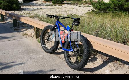 Ein blaues Fatbike parkt an einem hölzernen Geländer mit Sandgras im Hintergrund an einem klaren Tag. Stockfoto