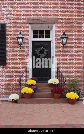 Chrysanthemen säumen die Stufen eines historischen Hauses während des Mumfestes in New Bern, North Carolina Stockfoto