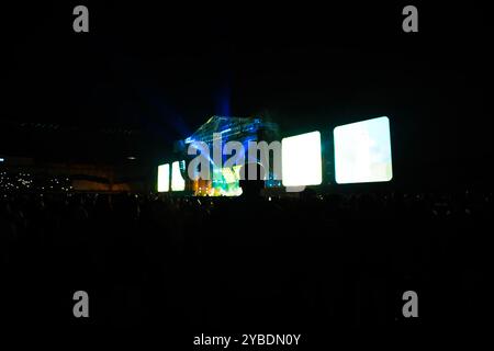 Aufgeregtes Publikum, das sich abends ein Musikfestival anschaut. Kopierbereich. Stockfoto