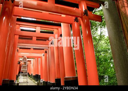 Kyoto, Japan – 25. Juli 2017: Bodenperspektive der Torii-Tore mit dem Arbeiter, der den Schrein in Japan pflegt Stockfoto