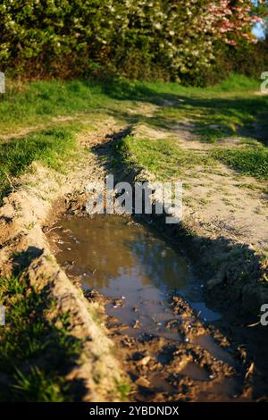 Pfütze aus schlammigem Wasser in der Landschaft, die während eines Wanderwegs im Freien zu finden ist Stockfoto