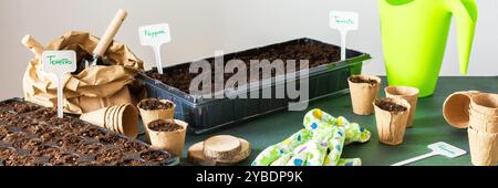 Pflanzen von Tomaten- und Pfeffersamen in Plastikbehältern und Öko-Töpfen, Anbau von Setzlingen zu Hause, Vorbereitung für Frühlingsarbeiten im Garten, Banner Stockfoto