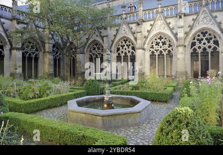 Kreuzgang, St. Martin's Cathedral, Utrecht, Niederlande, 2013. Evangelische Kirche seit 1580. Stockfoto