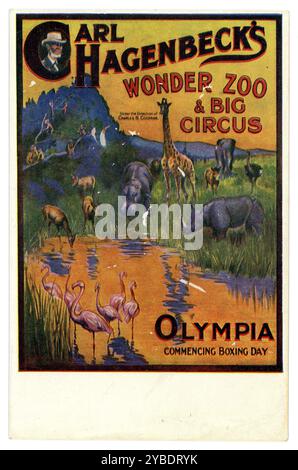 Originalwerbung aus der Zeit vor dem 1. Weltkrieg illustrierte farbige Postkarte Carl Hagenbecks Wonder Zoo and Circus, Beginning Boxing Day, Olympia, London, 26. Dezember 1913. Stockfoto