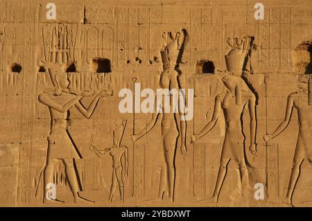 Hathor Tempel, Dendera, Ägypten. Relief, das den Gott Ihy als Erwachsener zeigt, der vor einer kleinen Figur Ihys Opfer bringt, eine Doppelkrone trägt und ein Sistrum in der Hand hält. Die Götter Hathor (seine Mutter) und Horus tragen ebenfalls Doppelkronen. Der Bau des bestehenden Tempels begann 54 v. Chr., der späten ptolemäischen Zeit. Stockfoto