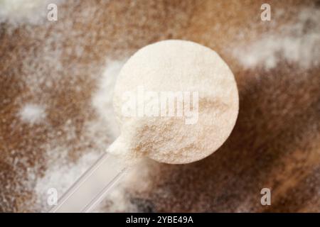 Kollagenpulver in einem Kunststoff-Messlöffel auf einem Holztisch Stockfoto