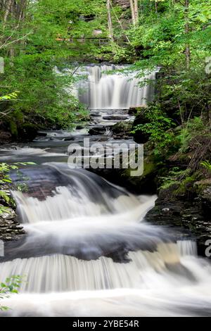 Wasserfälle im malerischen Ricketts Glen State Park, Pennsylvania im Sommer. Stockfoto