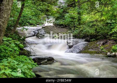 Wasserfälle im malerischen Ricketts Glen State Park, Pennsylvania im Sommer. Stockfoto