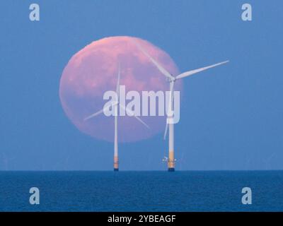 Warden Bay, Kent, Großbritannien. Oktober 2024. Wetter in Großbritannien: Der Supermond des Jägers steigt hinter der Windfarm Kentish Flats von Warden Bay, Kent. Quelle: James Bell/Alamy Live News Stockfoto