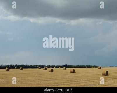 Wunderschöner Blick auf das goldene Feld mit Strohrollen unter blauem Himmel mit grauen Wolken in hellem Sonnenlicht vor Gewitter, ländliche Landschaft mit Ackerland Stockfoto