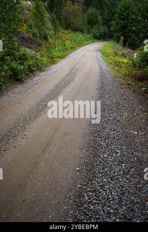 Schotterstraße, die sich durch grünen Wald in Finnland schlängelt Stockfoto