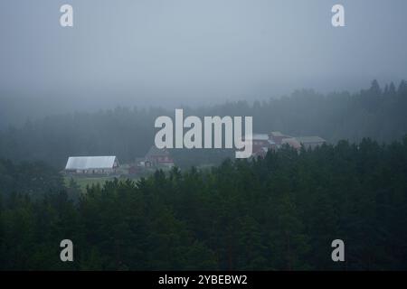 Ländliches Bauernhaus im Morgennebel, eingebettet zwischen dichten Bäumen in der finnischen Landschaft. Stockfoto