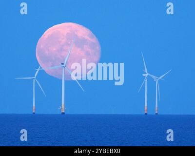 Warden Bay, Kent, Großbritannien. Oktober 2024. Wetter in Großbritannien: Der Supermond des Jägers steigt hinter der Windfarm Kentish Flats von Warden Bay, Kent. Quelle: James Bell/Alamy Live News Stockfoto