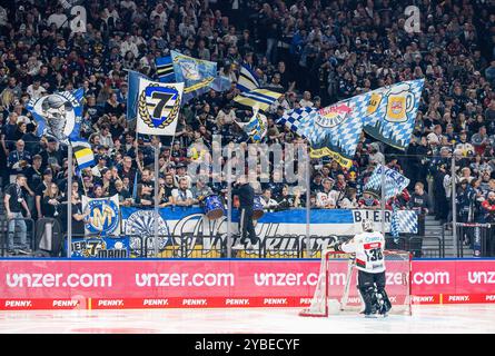 Die Münchner Fans in der Nordkurve hinter Strauss Mann (Torwart, Augsburger Panther, #38) vor Spielbeginn. GER, EHC Red Bull München gegen Augsburger Panther, Eishockey, DEL, 10. Spieltag, Saison 2024/2025, 18.10.2024. Foto: Eibner-Pressefoto/Heike Feiner Stockfoto