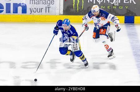 Kloten, Schweiz, 18. Oktober 2024: #96 Tyler Morley (Kloten) sprintet mit dem Puck #27 Derek Grant (ZSC Lions) aus. (Foto: Andreas Haas/dieBildmanufaktur) Credit: DieBildmanufaktur/Alamy Live News Stockfoto