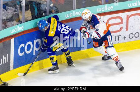 Kloten, Schweiz, 18. Oktober 2024: Verteidiger #54 Christian Marti (ZSC Lions) ist im Duell mit #86 Tyler Morley (Kloten) beschäftigt. (Foto: Andreas Haas/dieBildmanufaktur) Credit: DieBildmanufaktur/Alamy Live News Stockfoto