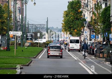 Doppelt geparkter Minibus auf einem Radweg an der Avenue de Jette in Koekelberg, Region Brüssel-Hauptstadt, Belgien, 15. Oktober 2024 Stockfoto