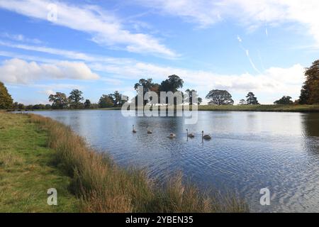 Raby Castle vom See. Raby ist eine mittelalterliche Burg in der Nähe von Staindrop im County Durham, England. Stockfoto