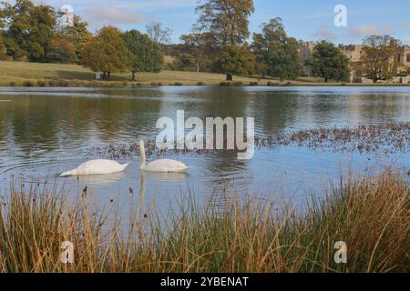 Raby Castle vom See. Raby ist eine mittelalterliche Burg in der Nähe von Staindrop im County Durham, England. Stockfoto