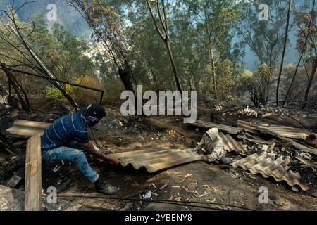 Feuerwälder, Quito - Ecuador / September 2024 Stockfoto