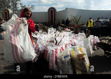 Feuerwälder, Quito - Ecuador / September 2024 Stockfoto