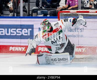 Strauss Mann (Torwart, Augsburger Panther, #38). GER, EHC Red Bull München gegen Augsburger Panther, Eishockey, DEL, 10. Spieltag, Saison 2024/2025, 18.10.2024. Foto: Eibner-Pressefoto/Heike Feiner Stockfoto