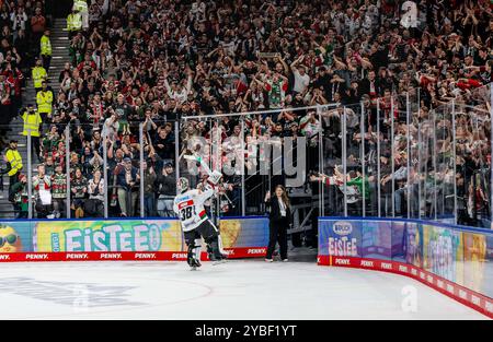 Strauss Mann (Torwart, Augsburger Panther, #38) feiert mit den Fans den Sieg. GER, EHC Red Bull München gegen Augsburger Panther, Eishockey, DEL, 10. Spieltag, Saison 2024/2025, 18.10.2024. Foto: Eibner-Pressefoto/Heike Feiner Stockfoto