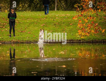 Herbstszenen im Euromast Park, Rotterdam, Niederlande am 18. Oktober 2024 springt Ein Hund in den Teich im Euromast Park, umgeben von bunten Herbstblättern, Rotterdam, Niederlande. Rotterdam Niederlande Copyright: XMatrixxImagesx/xHedayatullahxAmidx Stockfoto