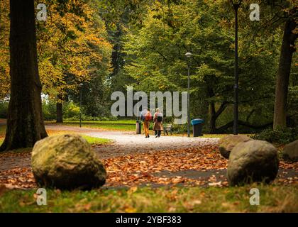 Herbstszenen im Euromast Park, Rotterdam, Niederlande Ein paar Spaziergänge unter einem Baum mit leuchtend orangefarbenen Blättern im Euromast Park, umgeben von farbenfroher Herbstlandschaft, Rotterdam, Niederlande am 18. Oktober 2024. Hedayatullah Amid / Rotterdam Niederlande Copyright: XMatrixxImagesx/xHedayatullahxAmidx Stockfoto