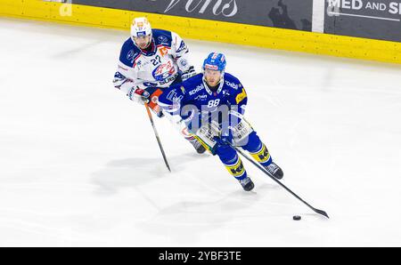 Kloten, Schweiz, 18. Oktober 2024: #88 Dario Meyer (Kloten) zieht #27 Derek Grant (ZSC Lions) mit dem Puck ab. (Foto: Andreas Haas/dieBildmanufaktur) Credit: DieBildmanufaktur/Alamy Live News Stockfoto