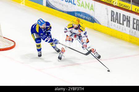 Kloten, Schweiz, 18. Okt 2024: Torschütze Dean Kukan (ZSC Lions) legt den Puck gegen #93 Nolan Deim (Kloten) ab. (Foto: Andreas Haas/dieBildmanufaktur) Credit: DieBildmanufaktur/Alamy Live News Stockfoto