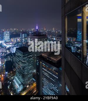 Nachtansicht von Tokio, Japan Stockfoto