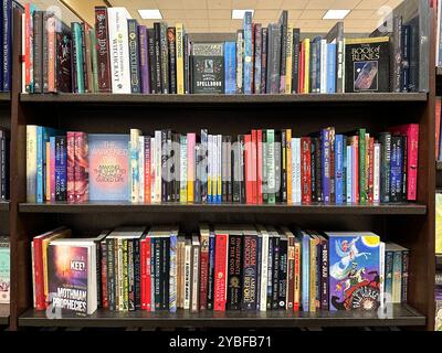 Große Auswahl an Büchern in den Bücherregalen des Buchhändlers Barnes und Noble. Stockfoto