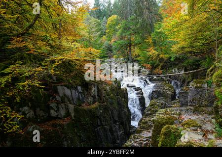 Black Linn Falls am Fluss Braan neben Ossian's Hall in der Eremitage, Dunkeld, Schottland, Vereinigtes Königreich Stockfoto