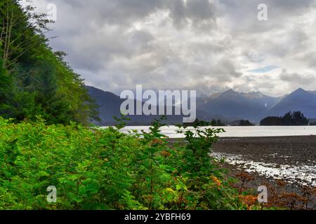 Blick auf die Crescent Bay in Sitka, Alaska, mit üppigen grünen Pflanzen und Bergen im Hintergrund. Stockfoto