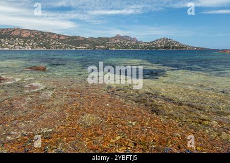 Pourrousset Beach, in Saint-Raphaël, Massif de l'Estérel, Frankreich, Europa, Provence. Stockfoto