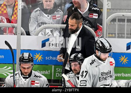 Eishockey DEL - 24/25 - 10. Spieltag: Düsseldorfer EG vs Kölner Haie am 18.10.2024 im PSD Bank Dome in Düsseldorf Kölns Assistant Coach Manuel Kofler Foto: Osnapix Stockfoto