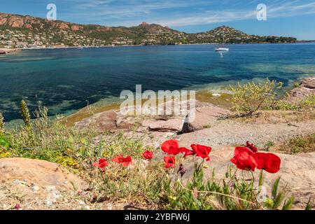 Pourrousset Beach, in Saint-Raphaël, Massif de l'Estérel, Frankreich, Europa, Provence. Stockfoto