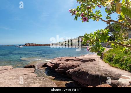 Pourrousset Beach, in Saint-Raphaël, Massif de l'Estérel, Frankreich, Europa, Provence. Stockfoto